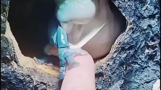 你们这回知道哪里来的了吧