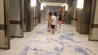 集合命令執(zhí)行混亂不堪