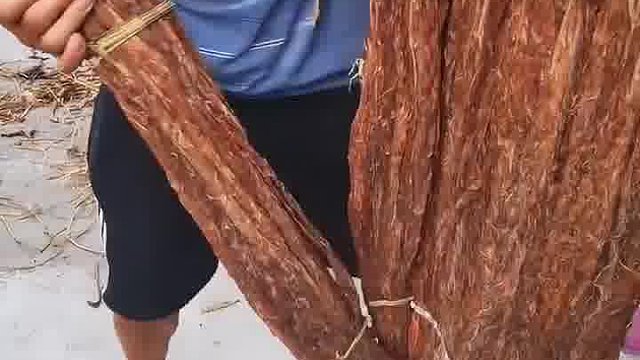 这玩意可是真正的好东西啊。