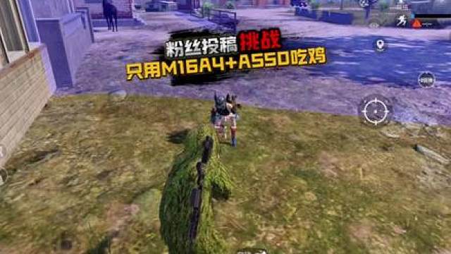挑战只用M16A4AS50吃鸡