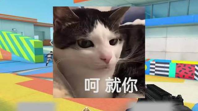 人外有人天外有RUA