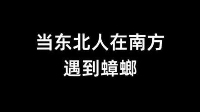 蟑螂：我跌跌撞撞奔向你