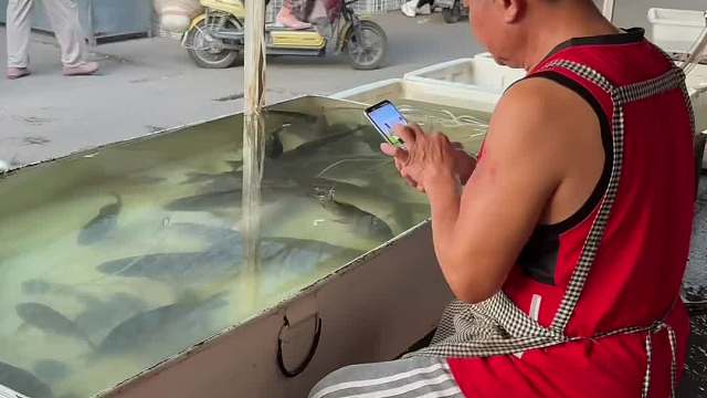 两条鱼，十斤