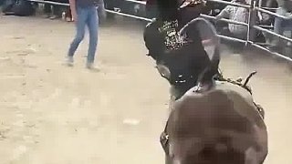 甩不動了