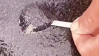 我以為是芝麻糊