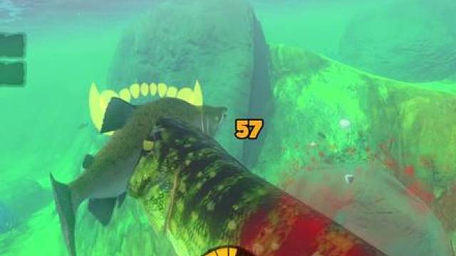 从蛋里爬出到称霸海洋