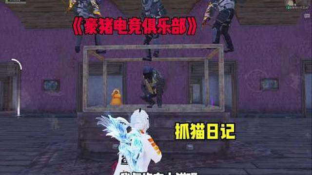 挑战抓猫意外得吃传世武器 太爽了