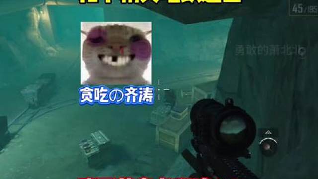 迷雾荒岛老鼠流2.0，自古齐涛不抬头！