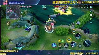 輔助躺贏上分隊(duì)友不支援引挫敗