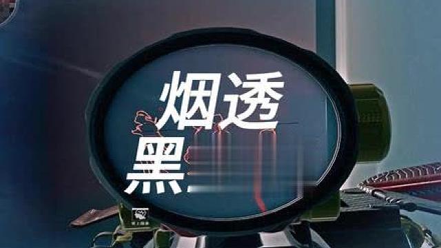 烟透-黑市篇 烟透-黑市篇，学会我的思路配合让你在总裁没有对手