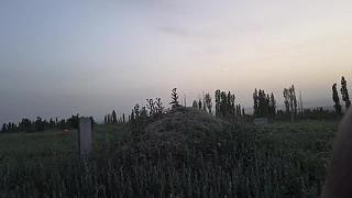騎馬迷路求助方向