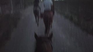 戶外騎馬帥氣展示