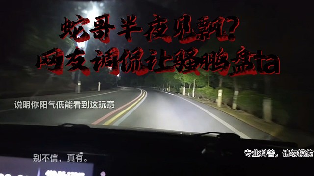 蛇哥半夜见飘？还是逗骚鹏玩？