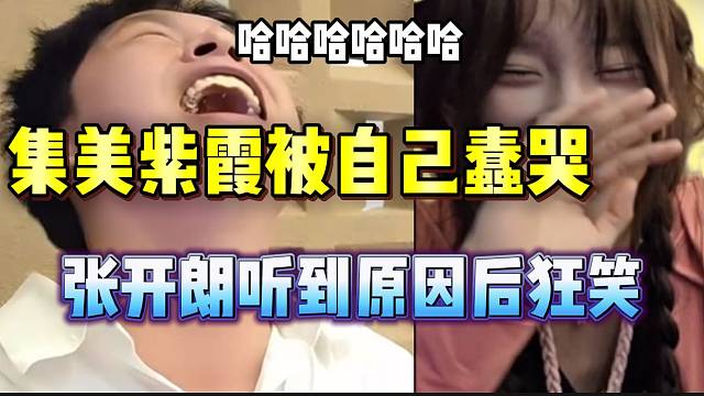 集美紫霞被自己蠢哭，张开朗听到原因后狂笑！