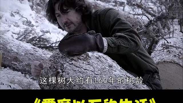 砍伐百年老树