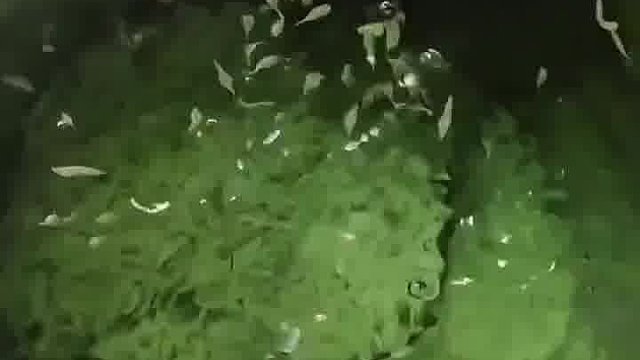 开学这样盛汤