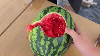頭部猛撞西瓜瞬間破開