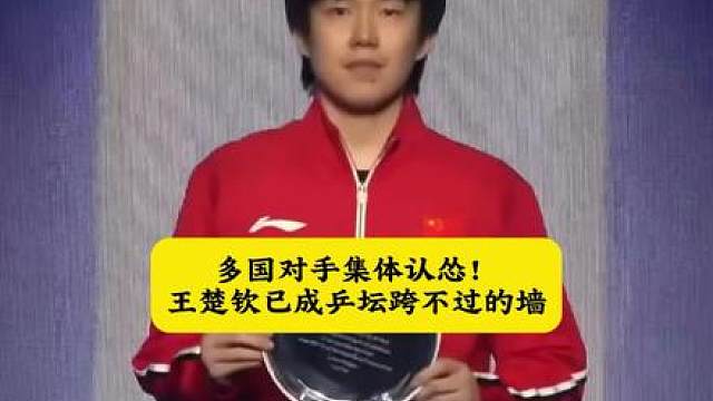 对手公认，想赢国乒先要拿下王楚钦。世界杯逆转翻盘，世乒赛十战全胜，实力尽显。