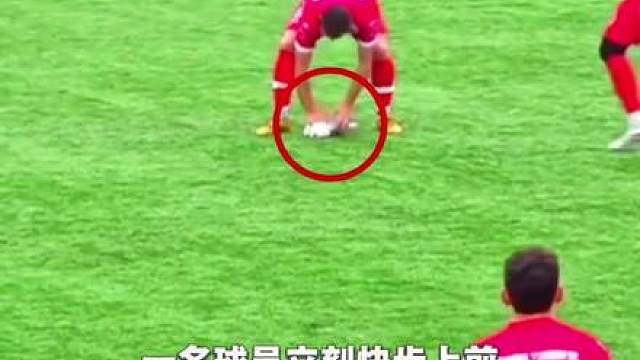 “球场温情瞬间！海鸥竟然被足球砸中，球员们停下比赛，上演暖心一幕！”