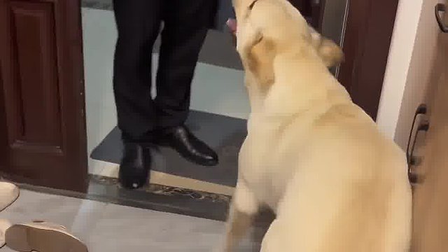 这狗怎么还看人下菜碟呢
