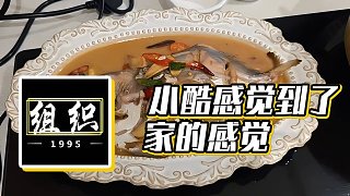 【小酷】小酷感覺到了家的感覺