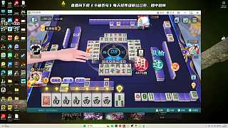 歡樂(lè)麻將頂胡綠一色大勝