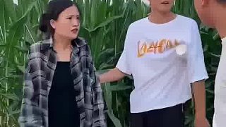 玉米花都沒(méi)開，哪來(lái)的棒子
