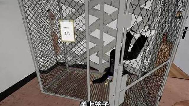 园区模拟器正式版来了！