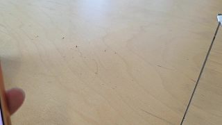 六子豪訂520與888花束