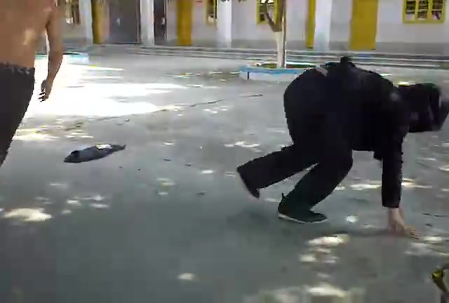 野性的释放