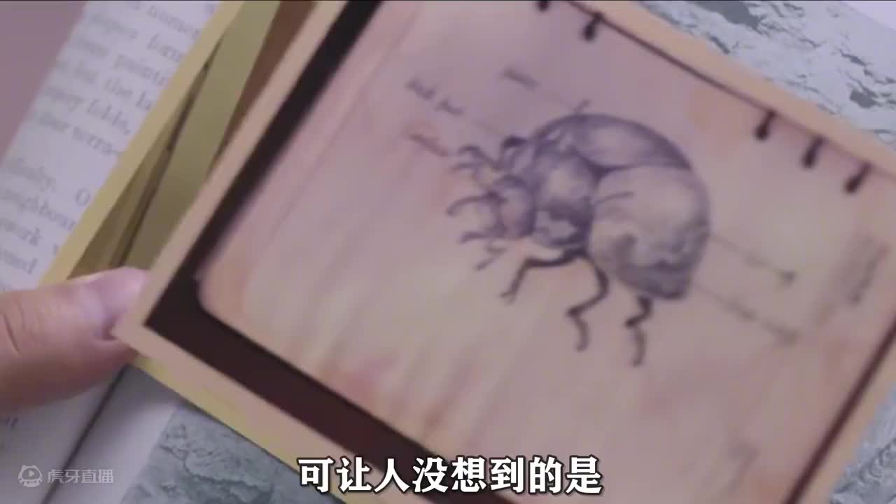 同样都是盗墓Ip，为何盗墓笔记估值2百亿 ，而鬼吹灯只值10万？