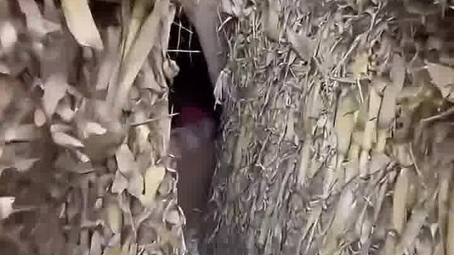 这你说上哪找去！