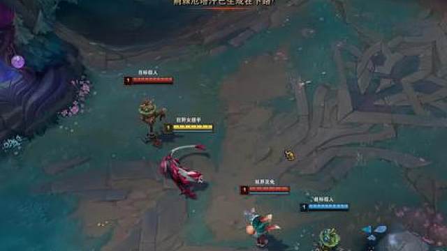 动物园比赛呢