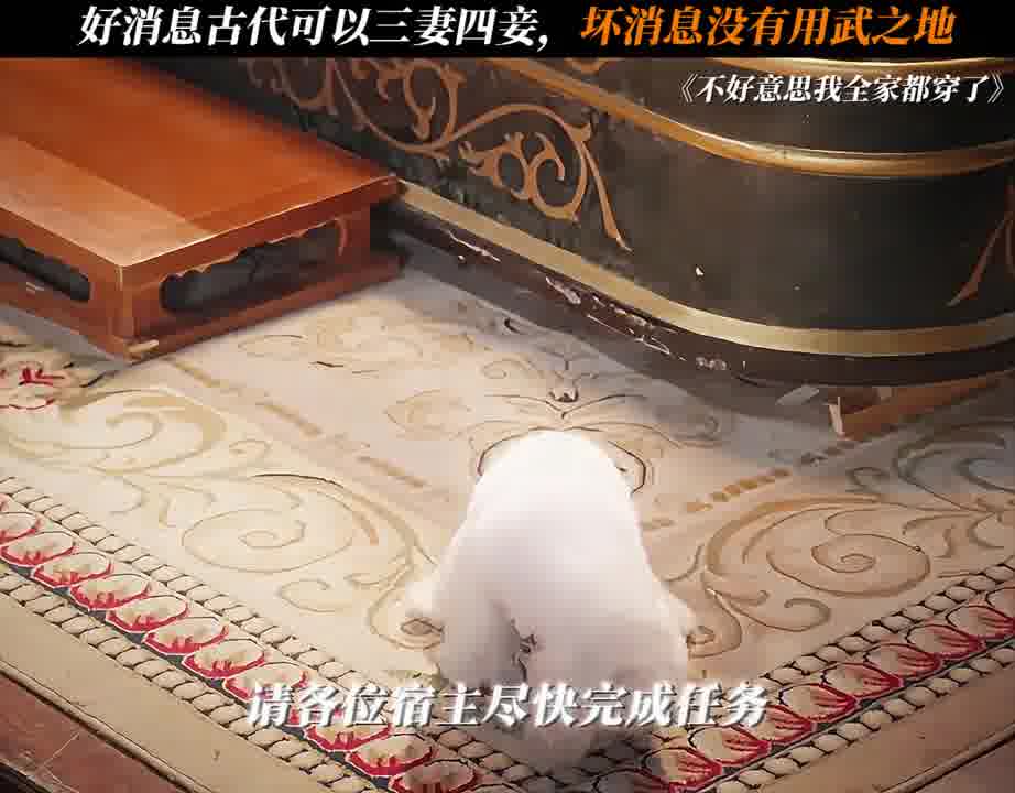 意思我全家都穿了