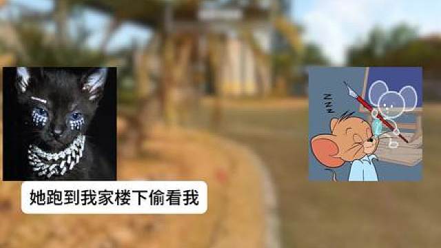 如果有机会的话，两年后给大家更新后续。