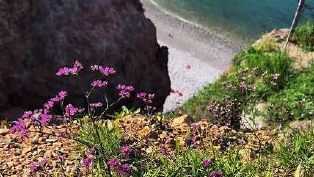 seawalk 芝罘岛，属于烟台人的人间塞尔达。这个夏天，我们与心形海的约定仍在继续。