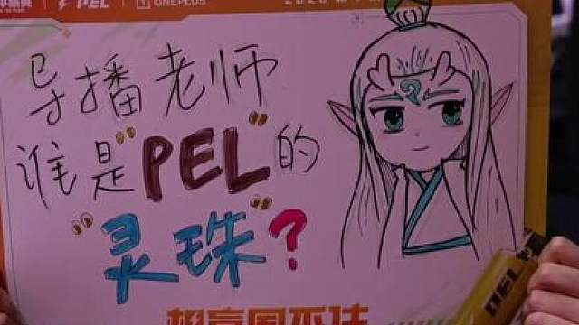 导播老师，请问谁是PEL的灵珠和魔丸？