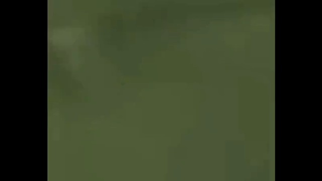 动漫大音