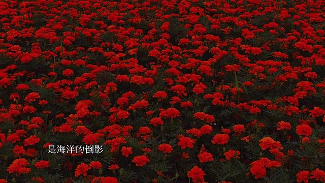 短暂