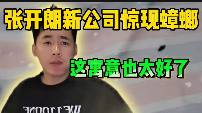 張開朗新公司驚現(xiàn)蟑螂！這寓意也太好了！