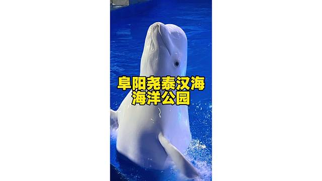 到时候进国家队怎么办我问你