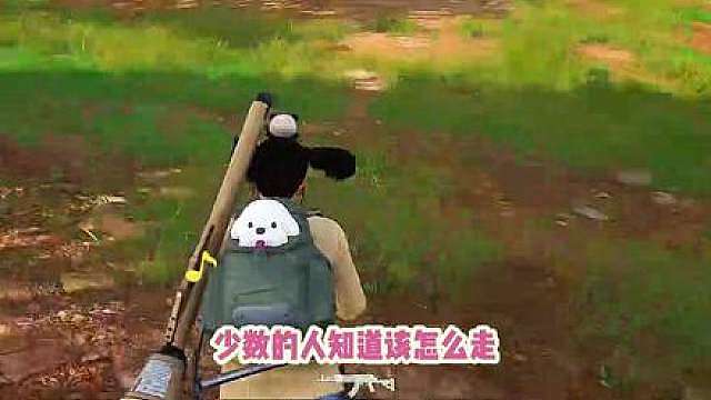 皖k雷震子兼女狙神，前来报道！