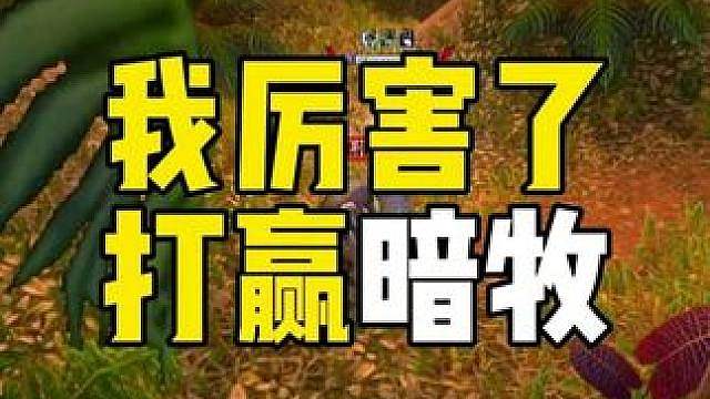 我打赢了暗牧 我厉害了 PVP攻略