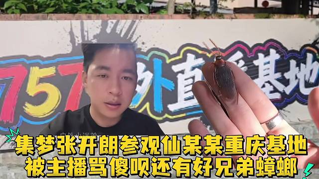 集梦张开朗参观仙某某重庆基地被主播骂傻呗还有好兄弟蟑螂