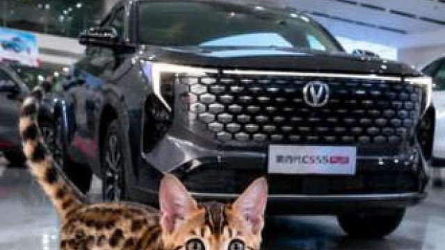 今天约了看车，一进门就被猫经理带去看店里的第四代长安CS55 PLUS，被安排得明明白白！
外观第一眼还挺年轻的，前脸看着很有精神，不是那种特别传统的家用SUV风格，日常开出去也有辨识度。
它搭载的是500Bar超高压直喷新蓝鲸1.5T发动机，通勤代步、周末出游都比较够用。
再加上iEM智慧能量管理系统，日常开起来会更兼顾动力和平顺性，长测场景下也有1000km级续航表现，家用确实会更省心。
空间