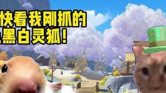 当我的炫彩都是黄绿色