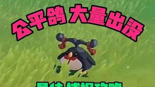 公平鸽大量出没最佳捕捉攻略