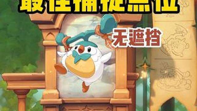 公平鸽大量出没，无遮挡最佳捕捉点位