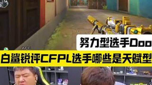 老白谈天赋型&努力型职业选手
