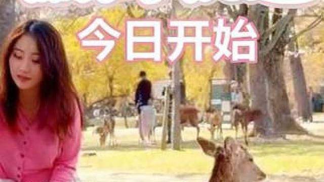 你教会了我怎么去爱，却没教我怎么收回。
